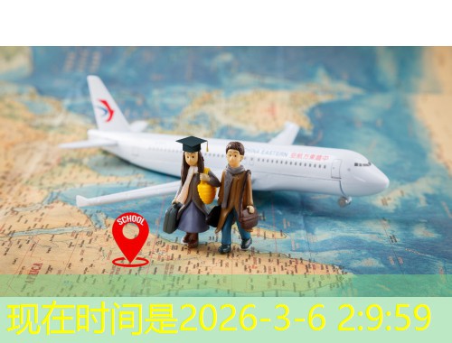 土耳其移民中介公司：三步锁定靠谱伙伴，少走90%弯路